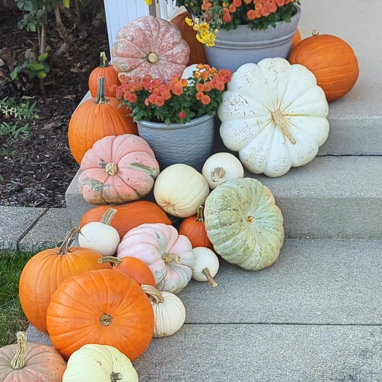 Harvest Highlight Package