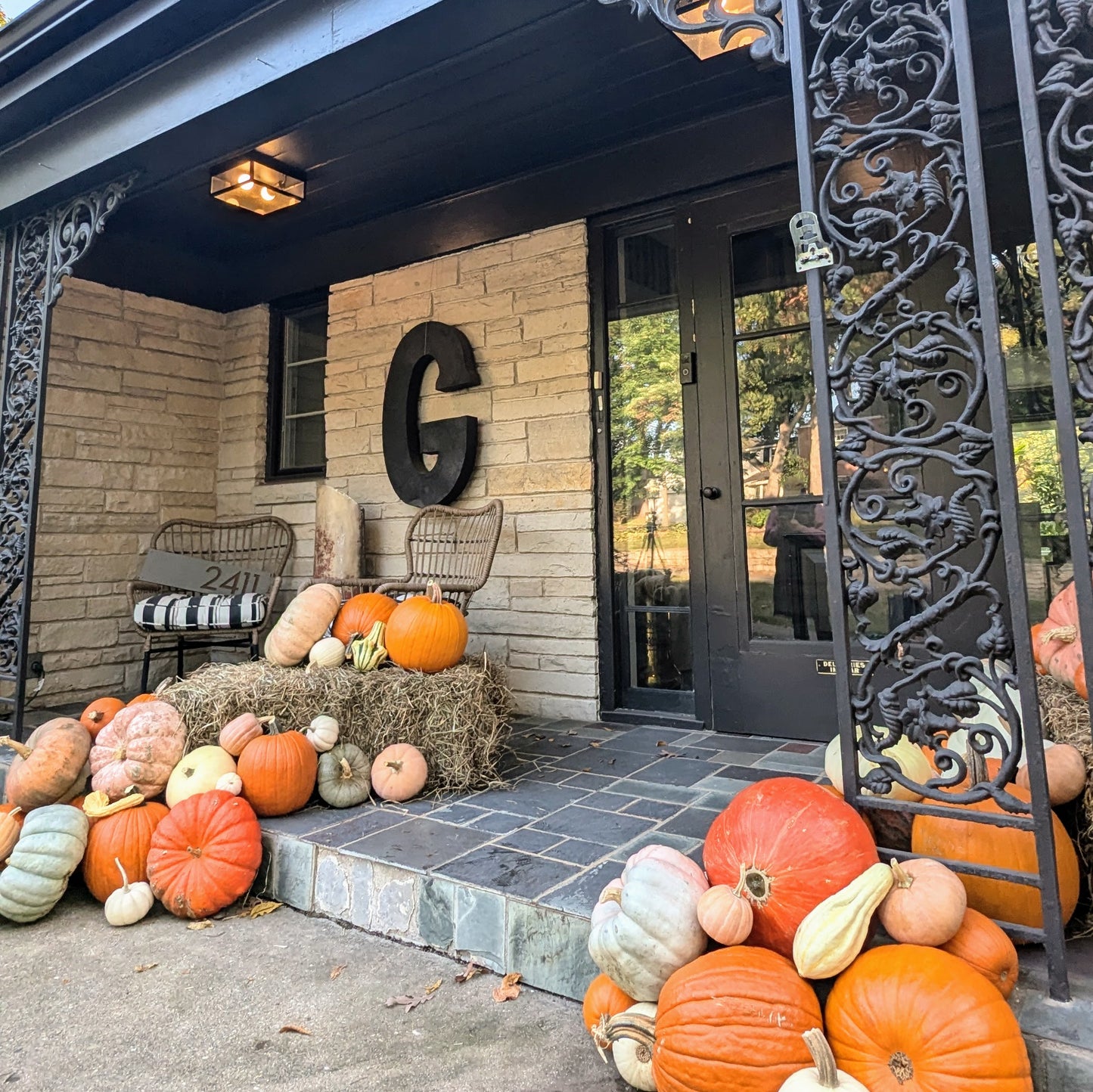 Pumpkin Showcase Package