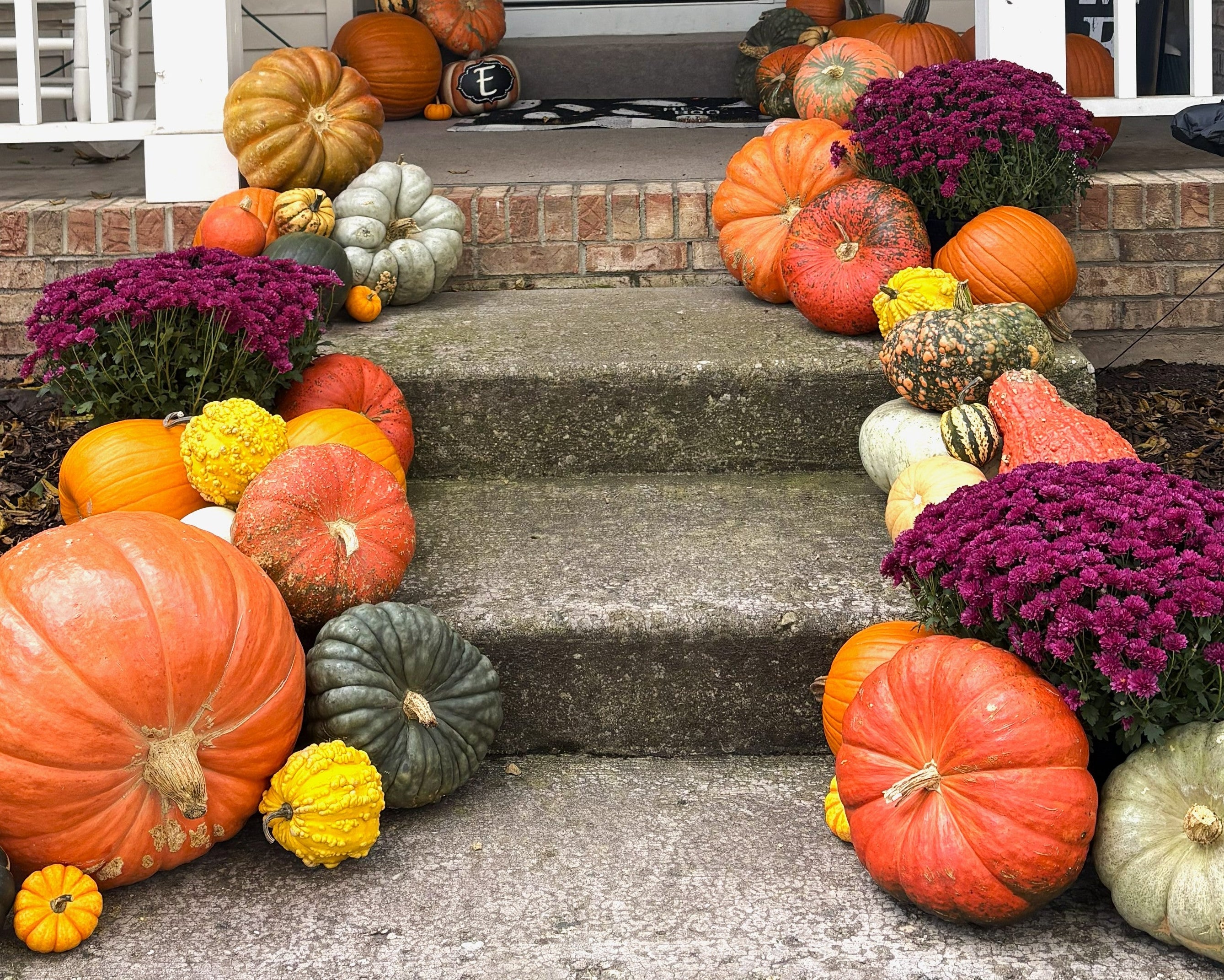 A front porch decorated for Fall with multiple pumpkins and gourds arranged on the steps with purple mums.