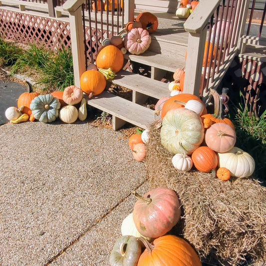 Pumpkin Spice Package