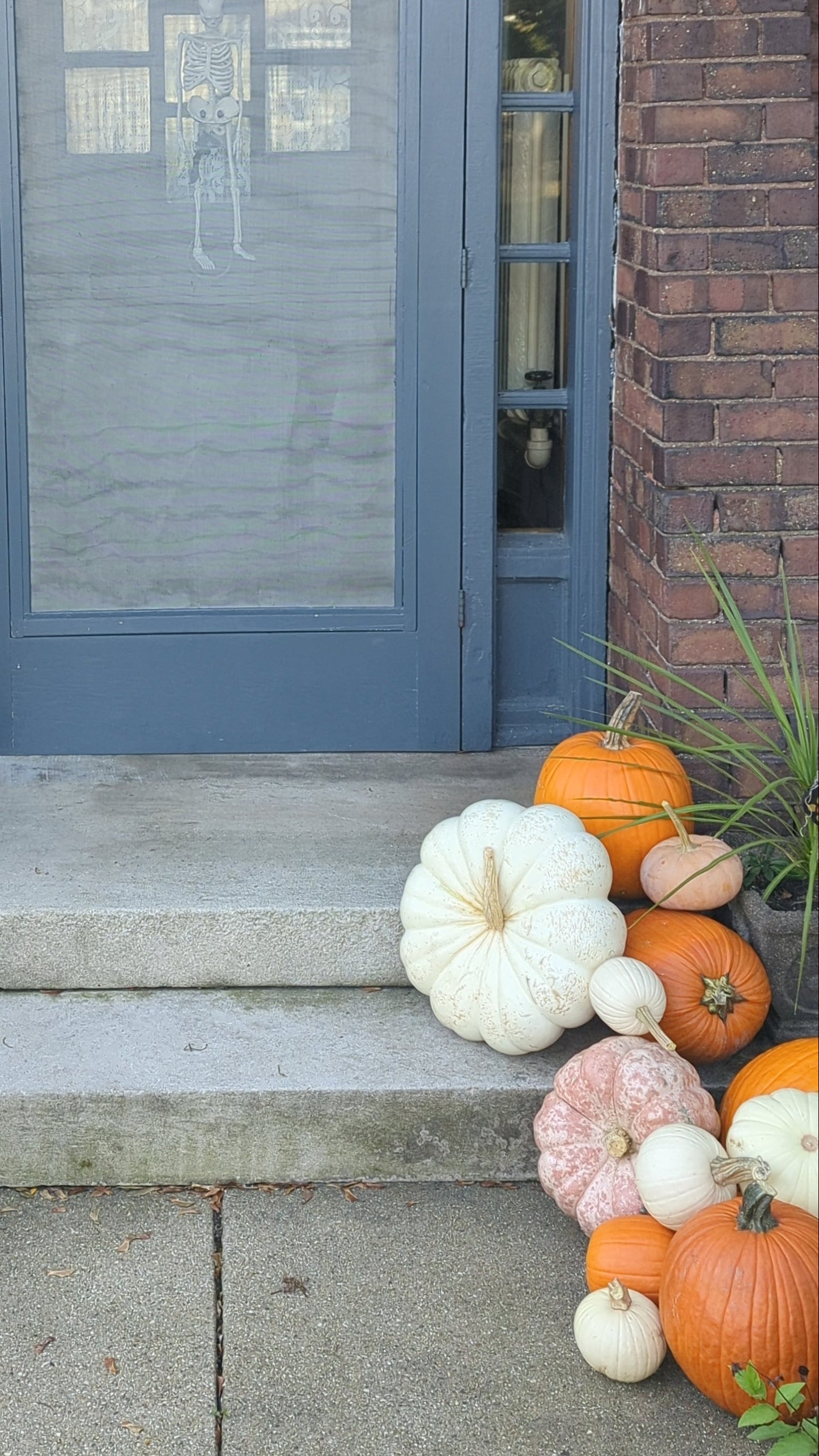 Blue door with decorative pumpkins on a brick sidewalk