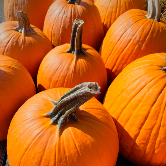 A Carving Party Package